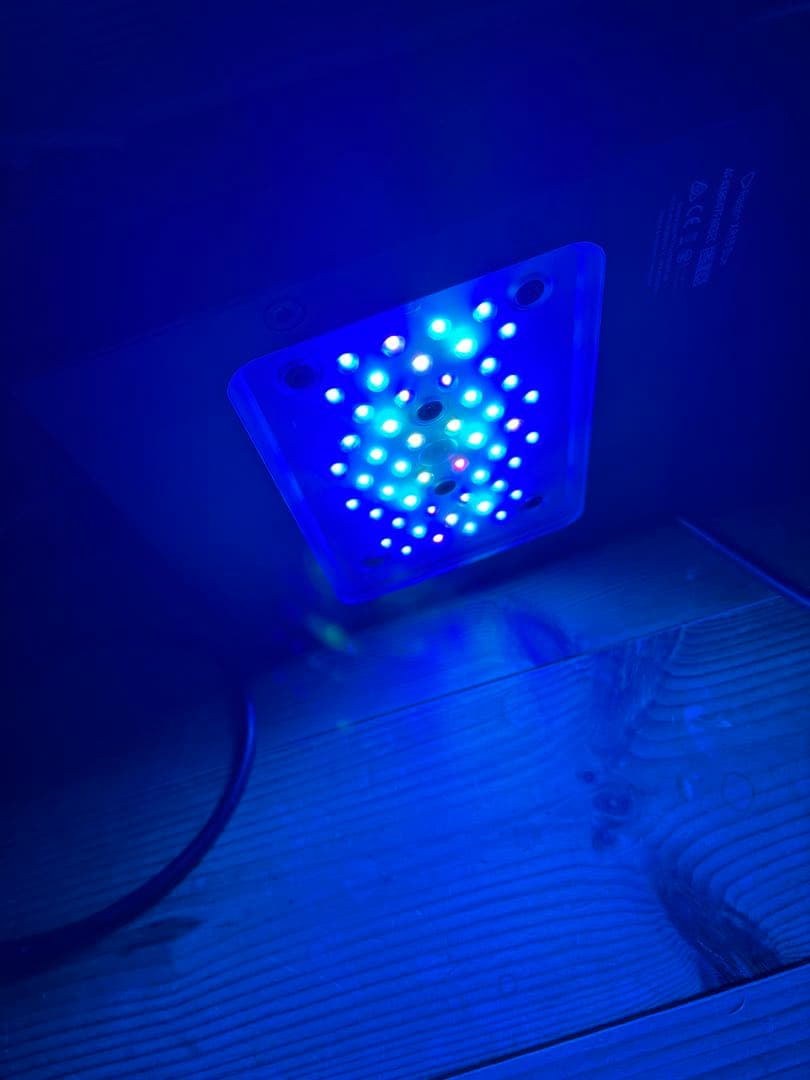 ラディオン G5 radonG5 XR15 blue 専用アーム付き