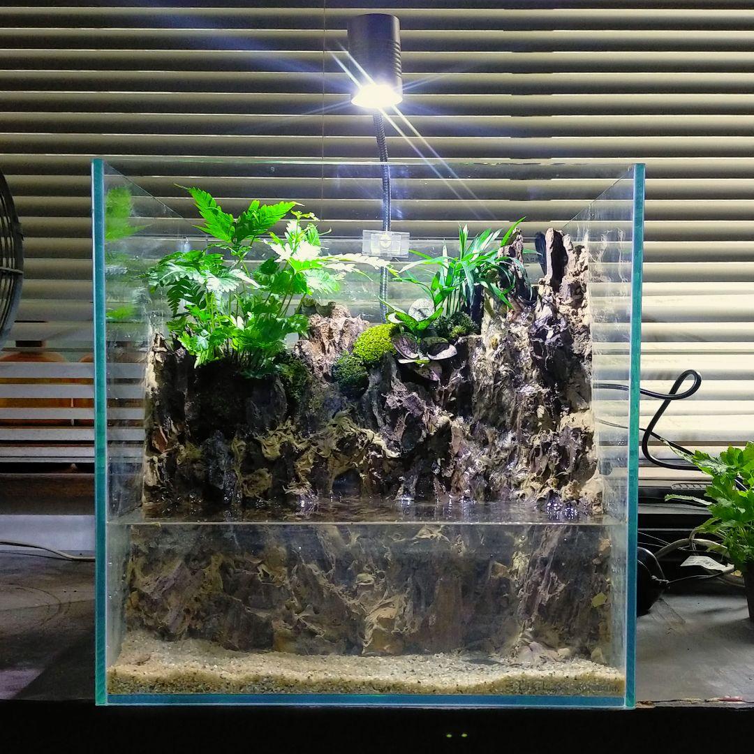 滝の流れるアクアテラリウム　イモリウム　No.1139