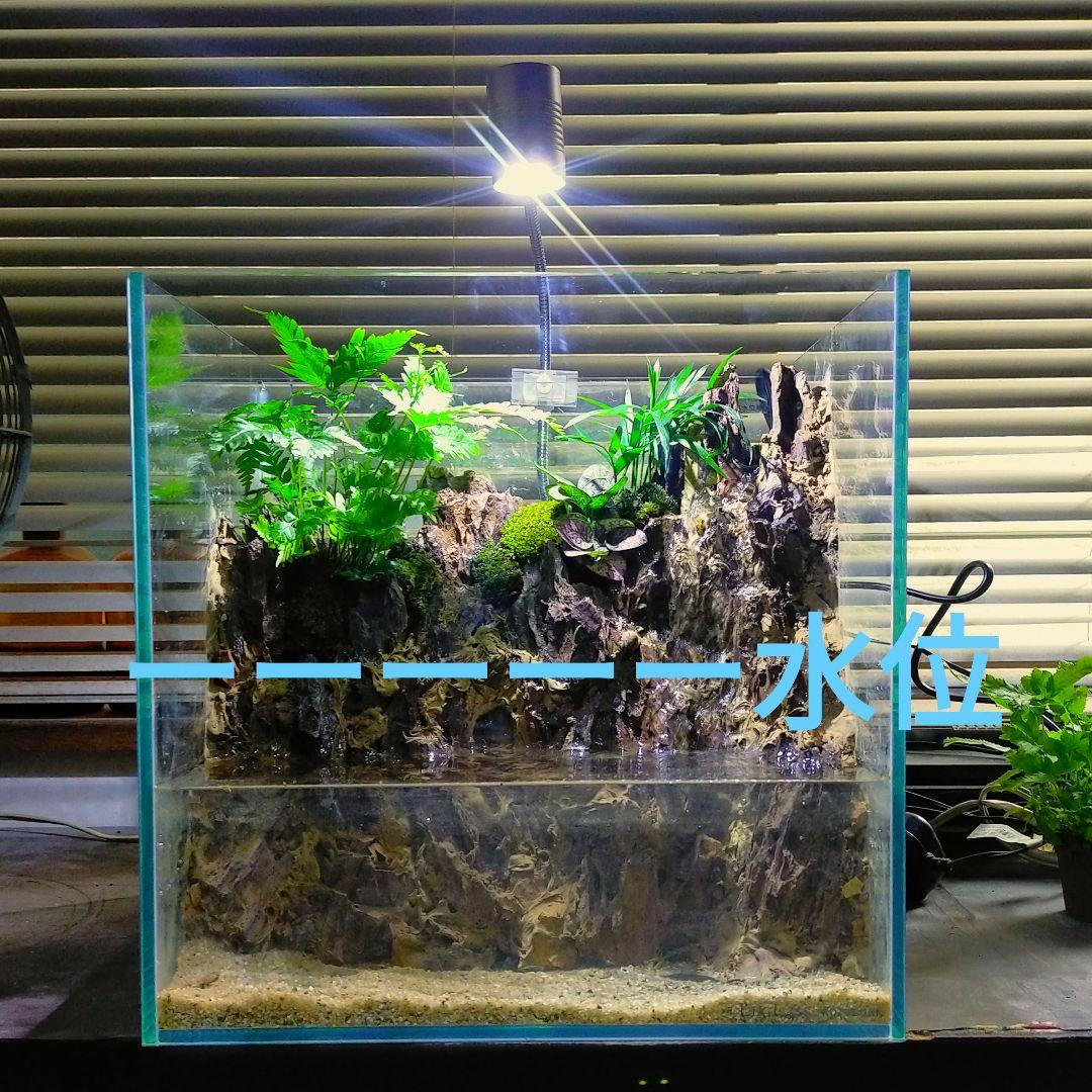 滝の流れるアクアテラリウム　イモリウム　No.1139