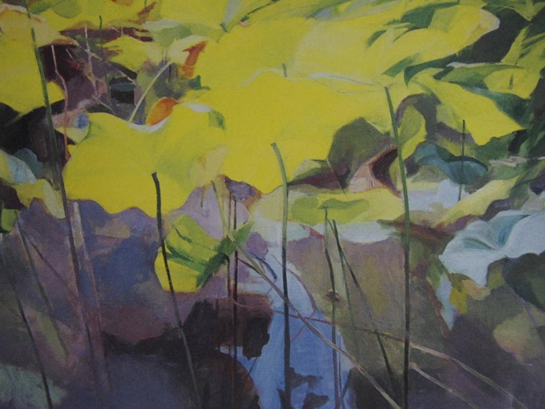 宮下直子、【風と遊ぶ】、希少な額装用画集より、新品額装付、状態良好