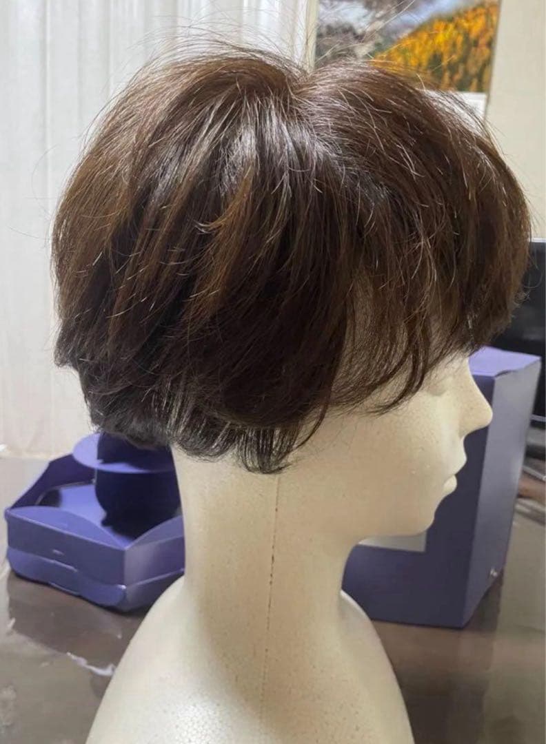 アデランス フォンテーヌ バランプレミアム 栗色 ハーフウィッグ 未使用に近い