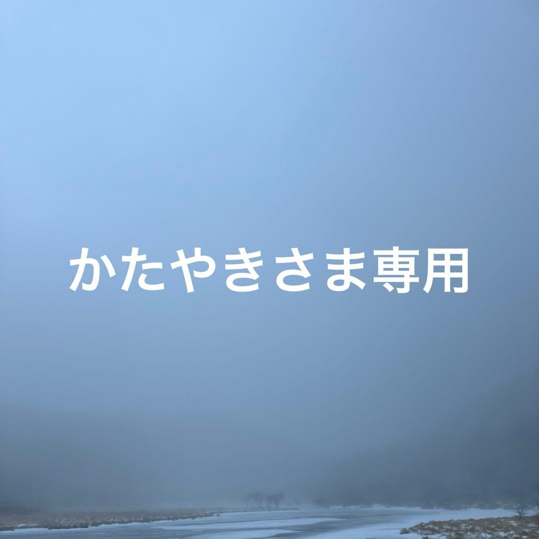 90s ハイスタ Hi-STANDARD バンド ツアーＴ