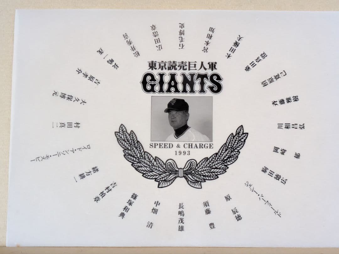 読売巨人軍 　長嶋茂雄監督時代　 選手サイン入り記念額縁1993年1994年