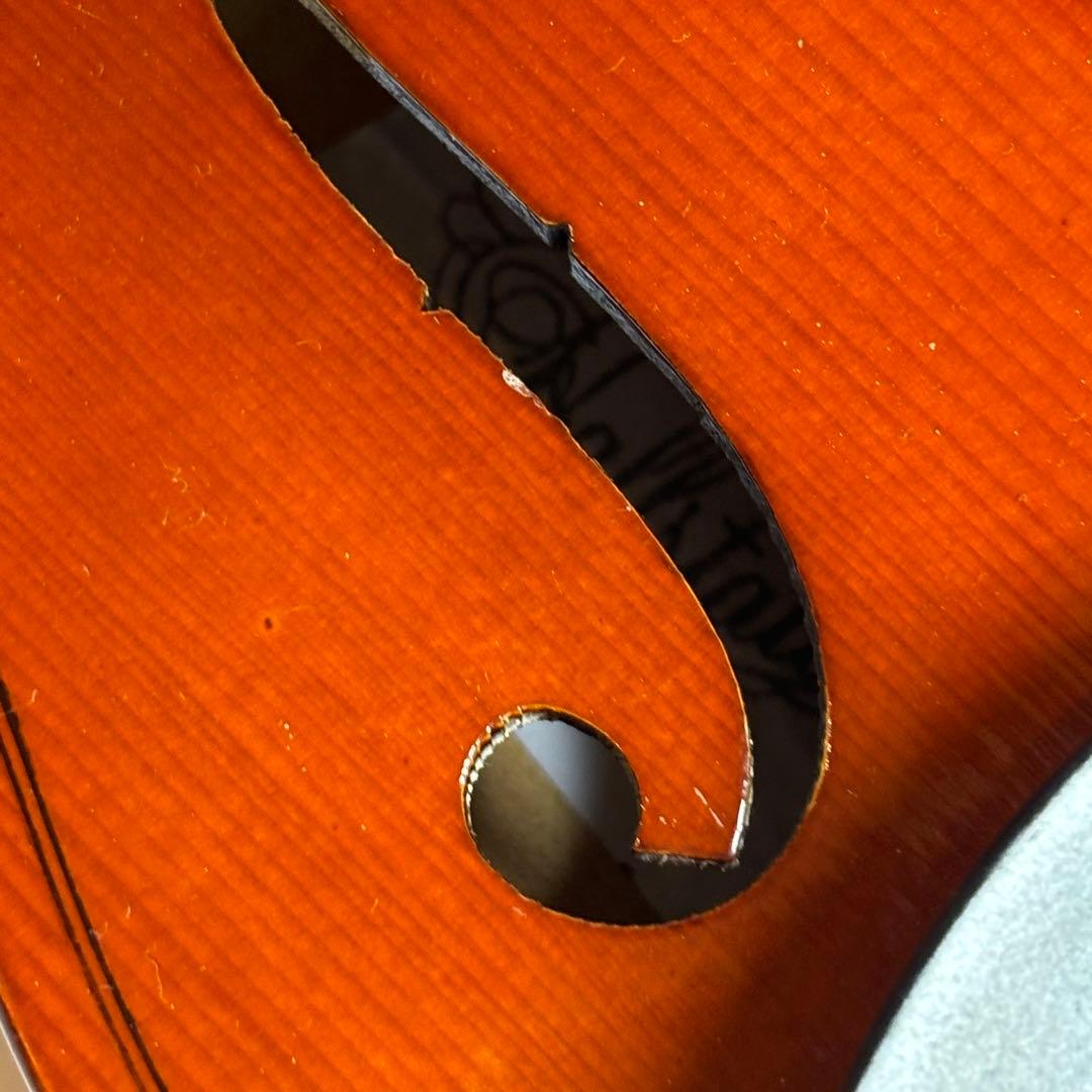 美品【SALE‼️〜3/18】HALLSTATT CV-210E エレキバイオリン