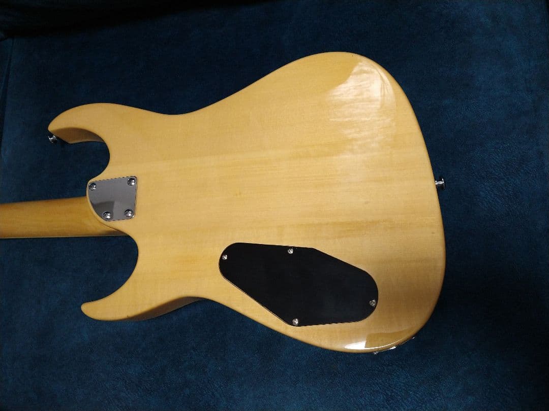 新品 カスタムメイド エレキギター バードアイメープルトップ＆バスウッドボディ
