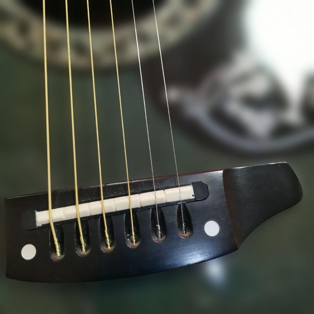 モーリス　アコースティックギター 　トルネード