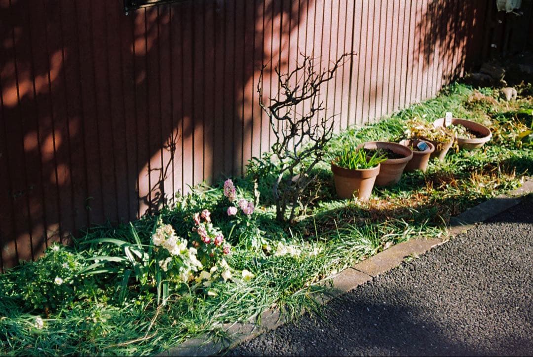 完動品、整備済 ◉ OLYMPUS TRIP35 フィルムカメラ