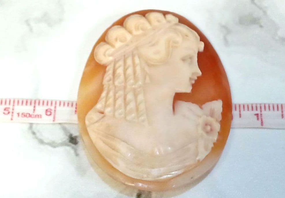 カメオ サイン入り