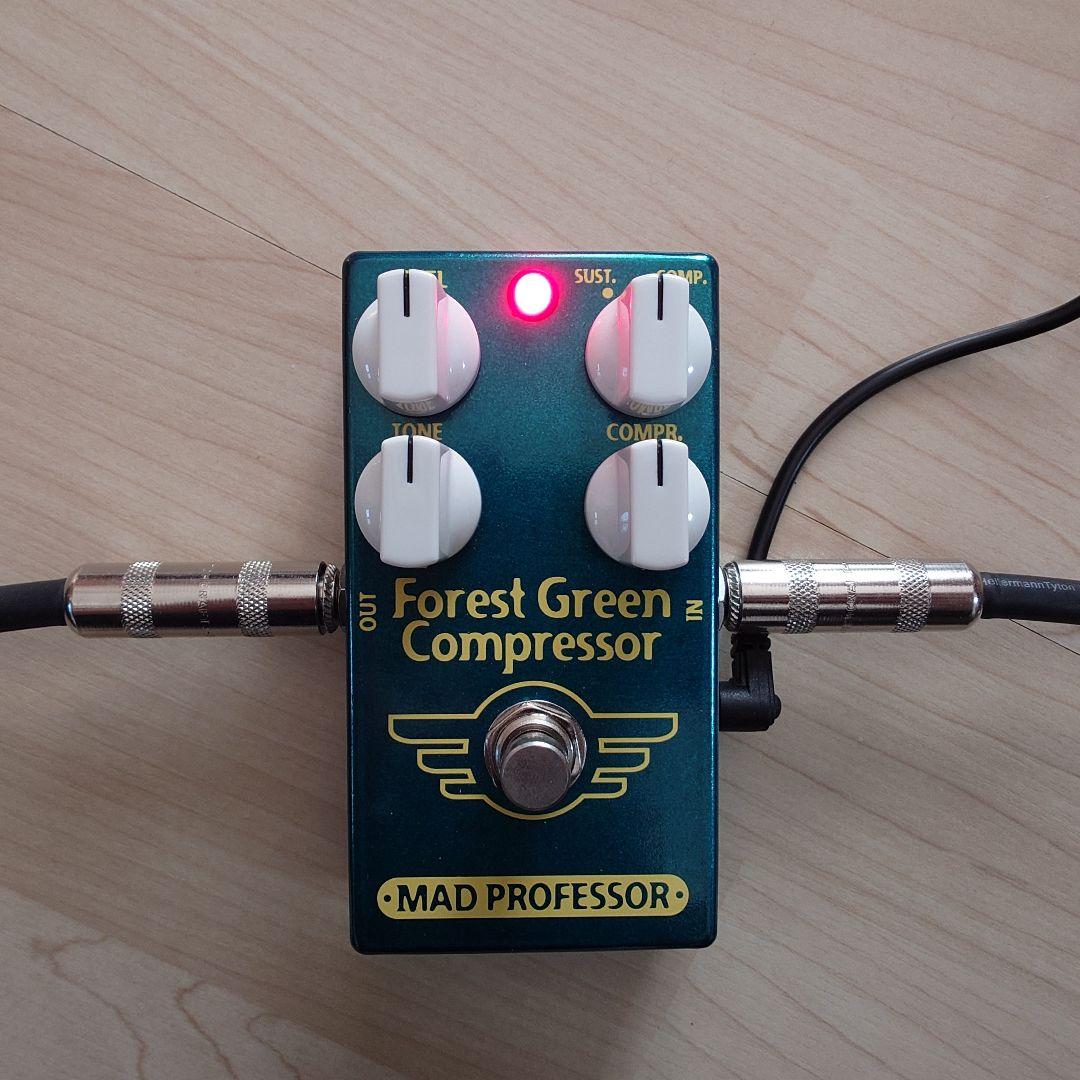 ギター kan MAD PROFESSOR Forest Green Comp