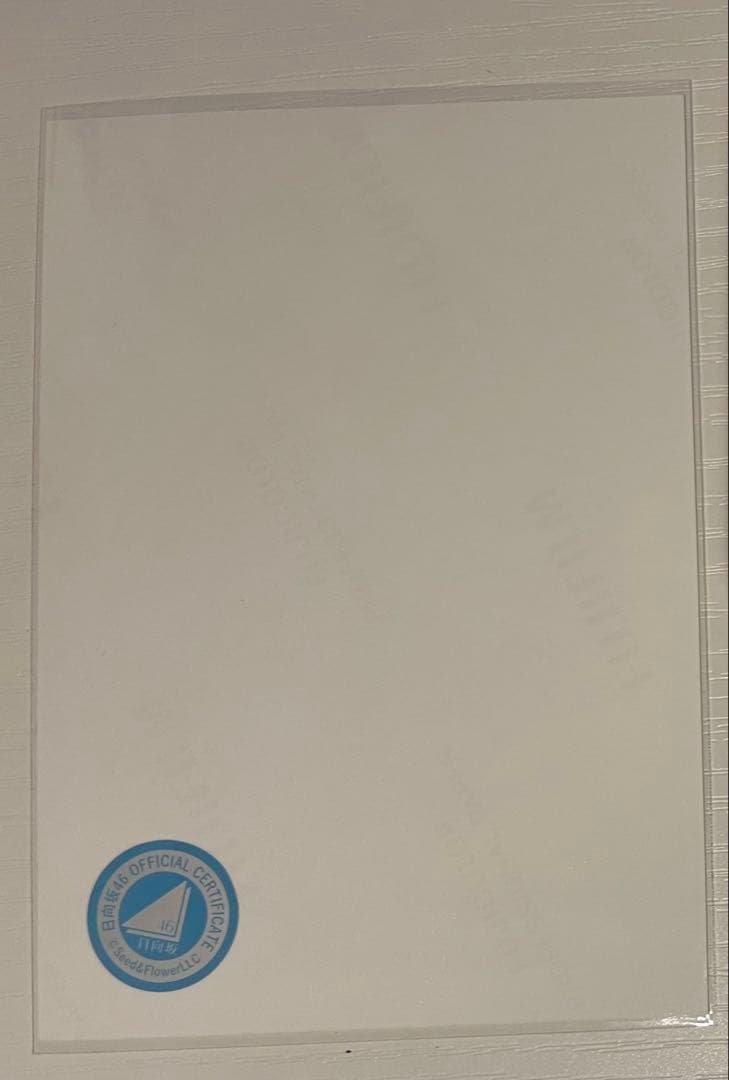 日向坂46 山口陽世 サイン入り写真 4回目のひな誕祭