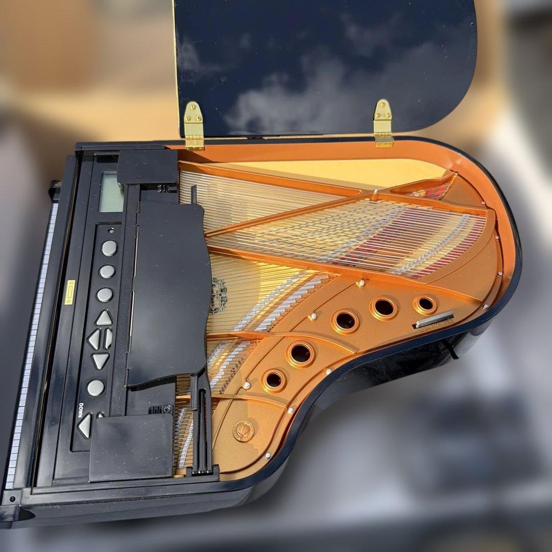 Grand Pianist 100曲収録