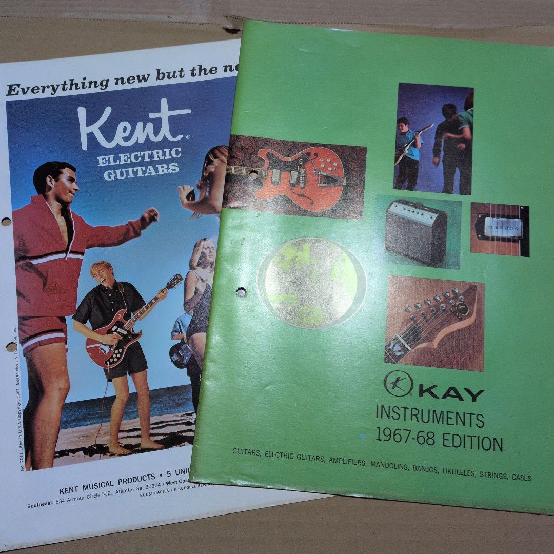 TEISCOビザールおまけ付！！WG-2L ゴールドフォイルピックアップ！！