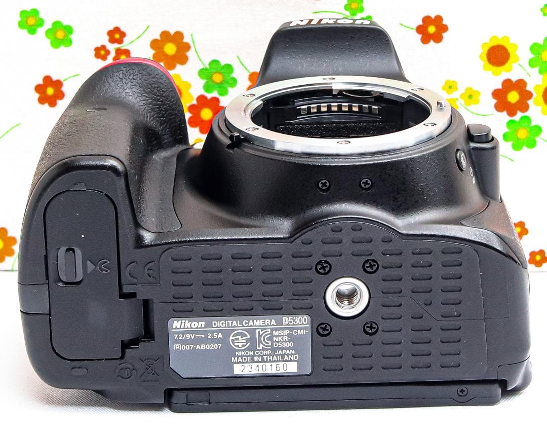 ニコン Nikon D5300☆WIFI機能でスマホに転送♪☆一眼レフ☆自撮り可