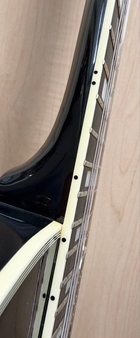 値下げ／EDWARDS E-LP-CTM／ダンカンPU／美品