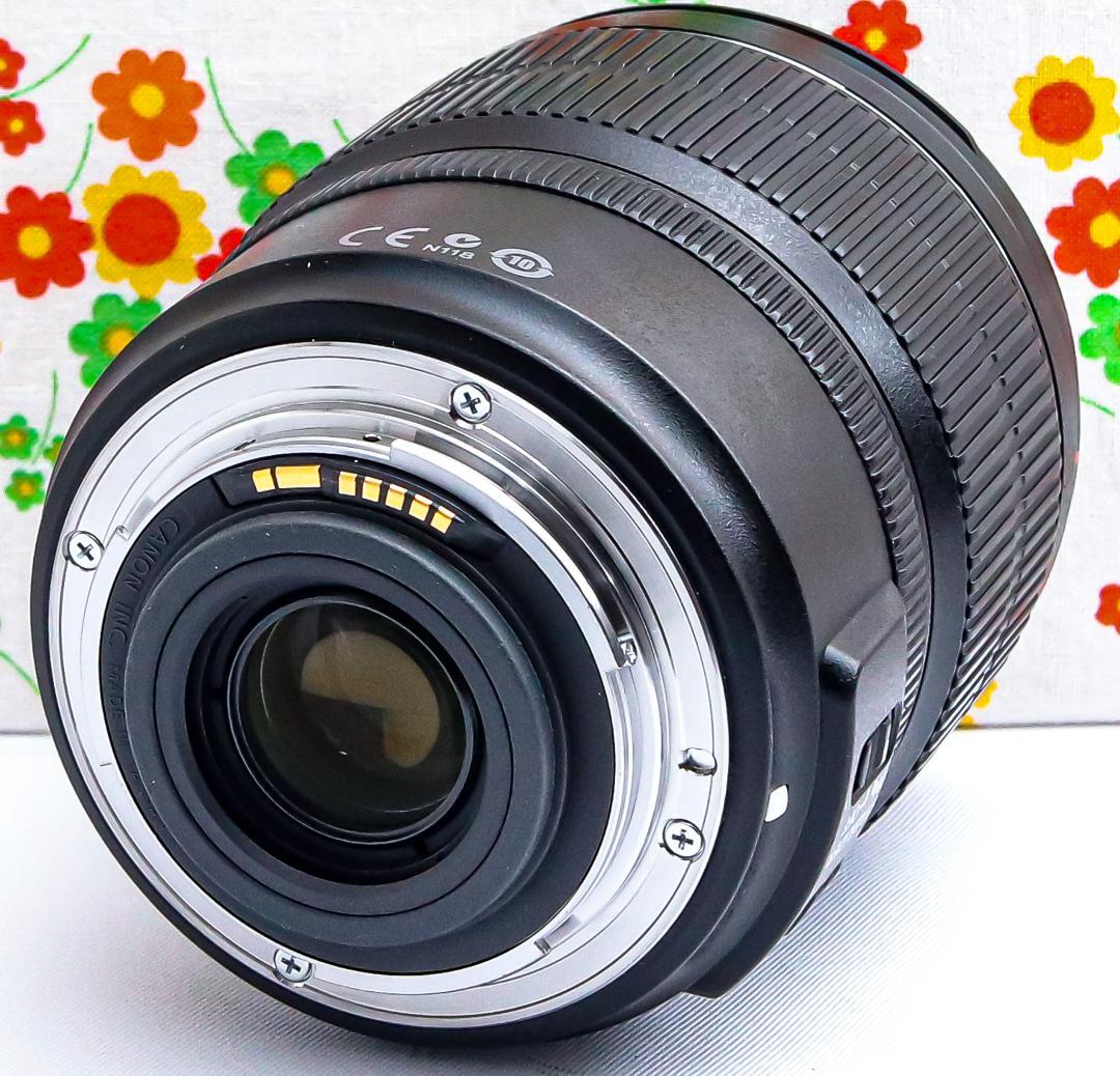 美品 Canon キャノン EF-S 15-85mm IS USM☆超広角レンズ