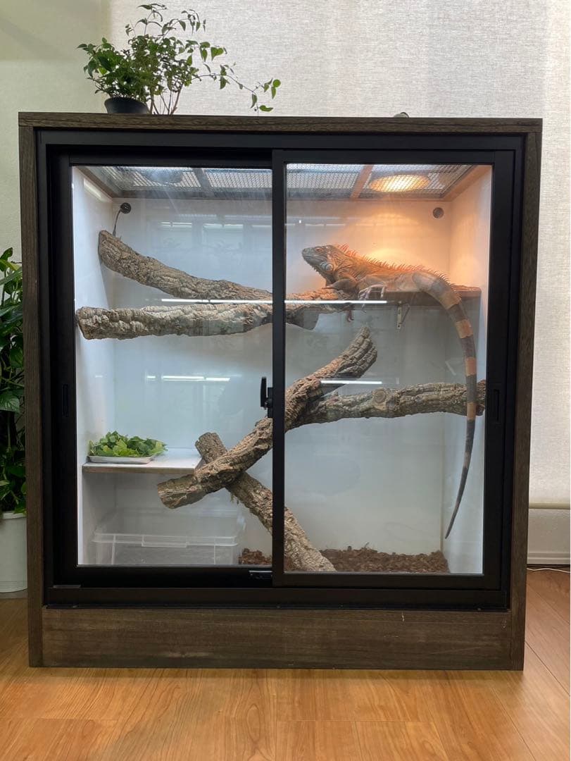 ＦandＫ爬虫類木製ケージ　イグアナケージ