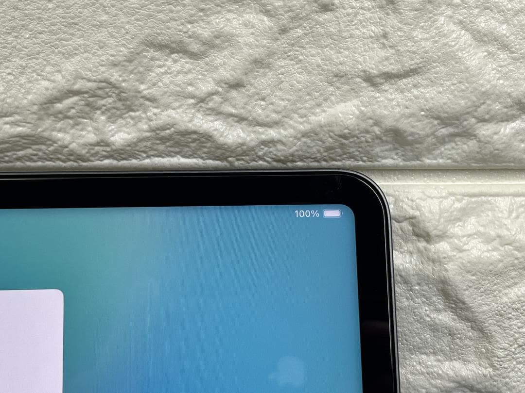 極美品 12.9 iPad Pro 512GB 第5世代 Wi-Fi