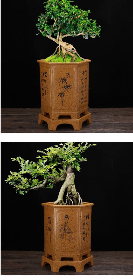 中国宜興 紫砂の鉢 盆栽鉢 植木鉢 小品盆栽鉢 大品盆栽鉢