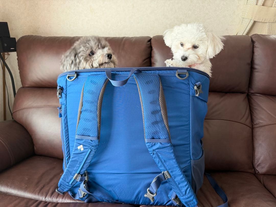 モンベル　ドッグキャリングバックL