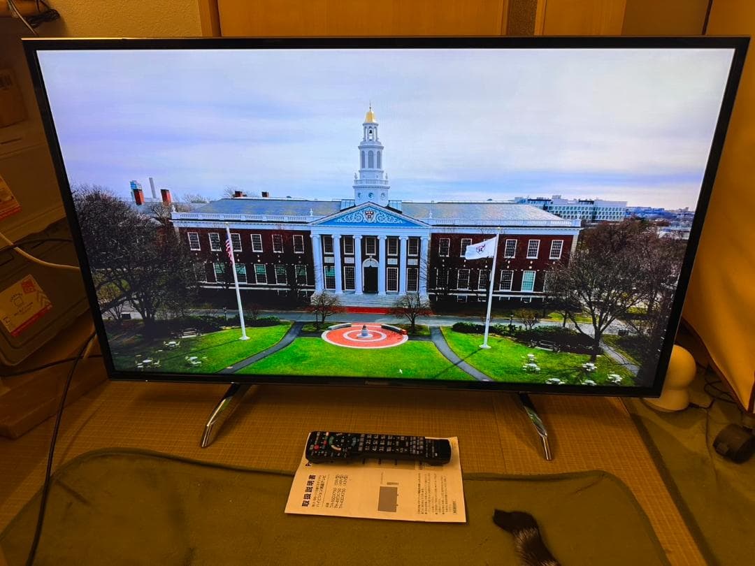 引取専用 極美品！パナソニック　43型 スマートテレビ TH-43DX750