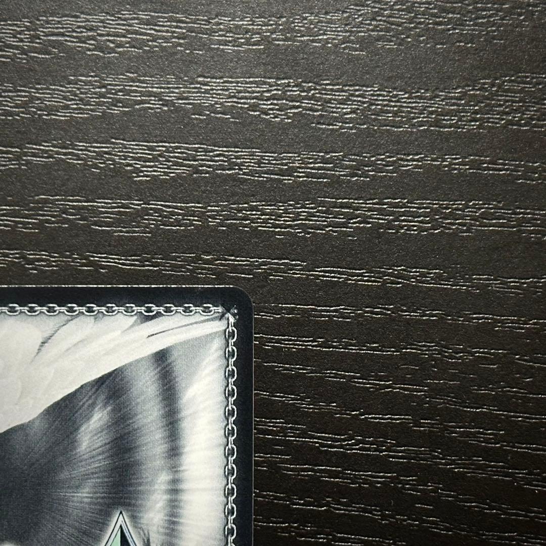 WS 次のキャンプ リン SSP サイン