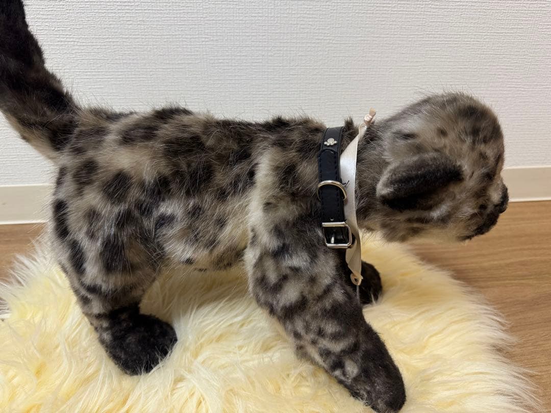 海外作家様作　アートドール　黒ヒョウの赤ちゃん