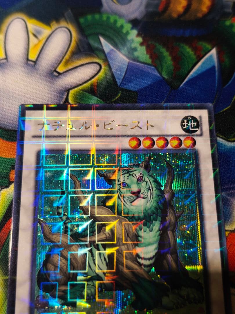 遊戯王　ナチュルビースト　DTC シークレット 1103　プレイ用