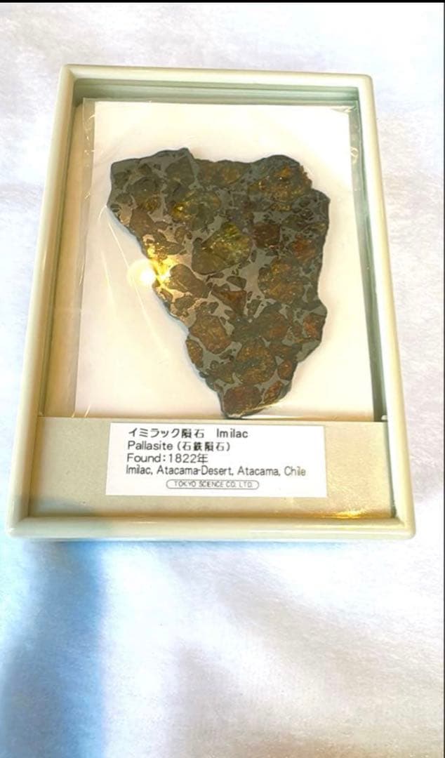 【存在感が段違い】28.0g イミラックパラサイト隕石標本（東京サイエンス購入）