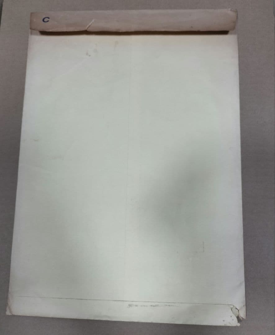 鳥山明の世界展 ドラゴンボールZ 複製原画　B4サイズ C