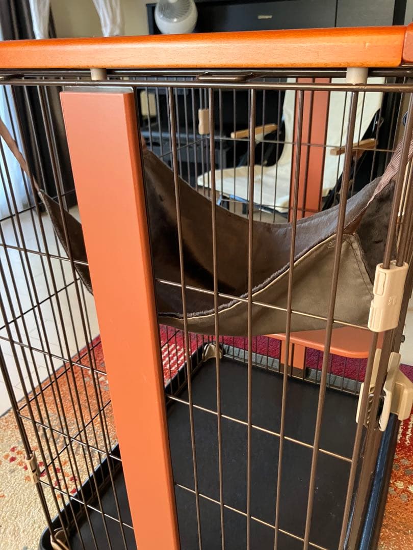 ボンビアルコン　ウッドワンサークル　キャット　ミニ　3ヶ月使用