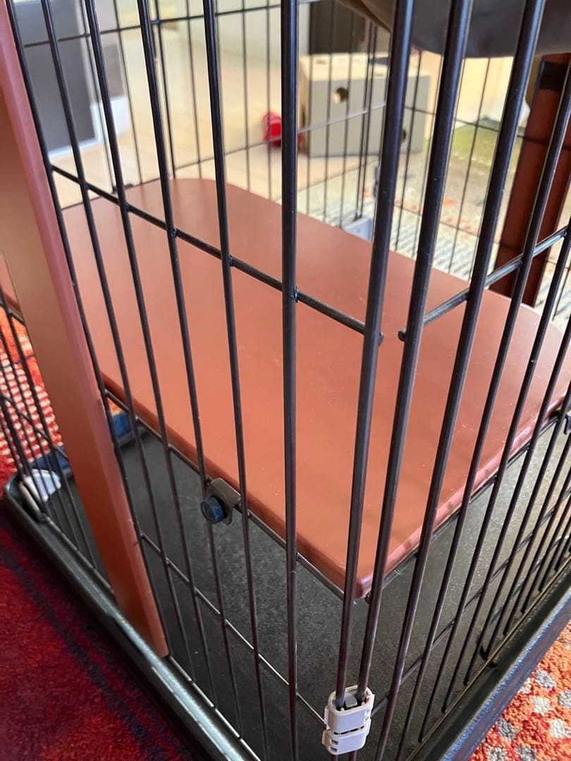 ボンビアルコン　ウッドワンサークル　キャット　ミニ　3ヶ月使用