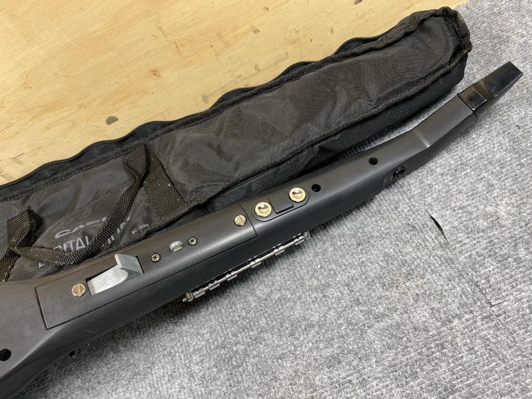 815 CASIO DH-500 デジタルホーン