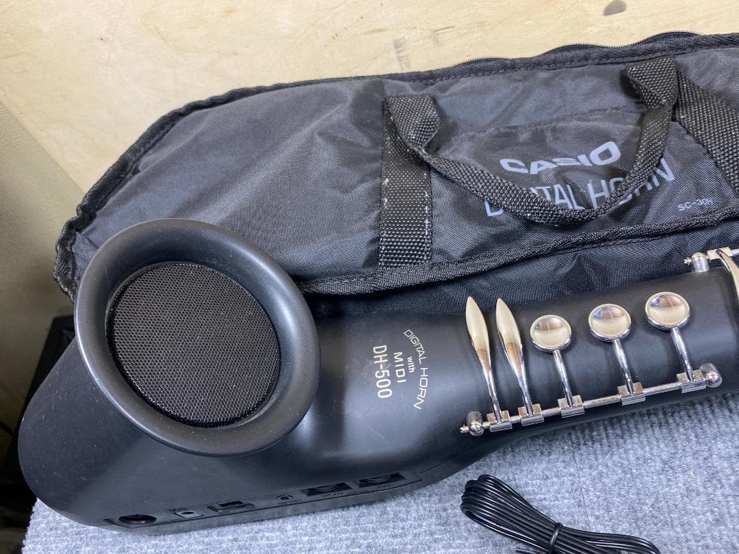 815 CASIO DH-500 デジタルホーン