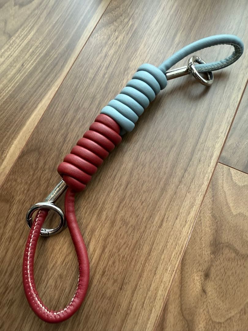 iPhone16Pro用　エジュー　iPhoneケース&ストラップ　美品