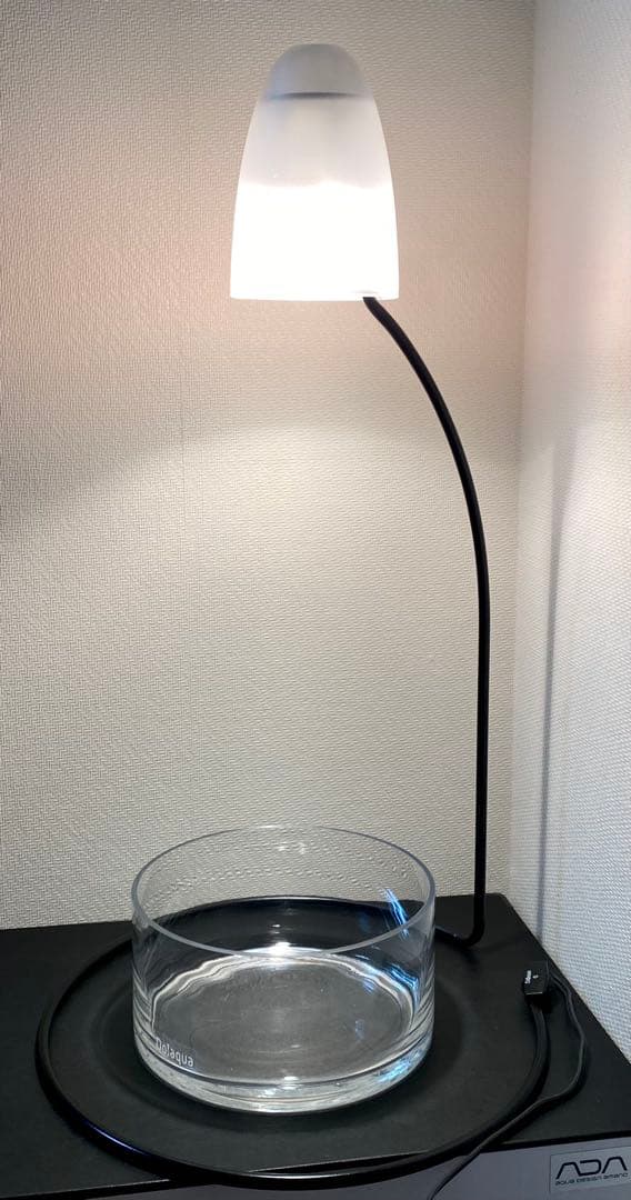 【廃盤】ADA Do!aqua ブランチ・ブラック　アクアデザインアマノ　天野尚