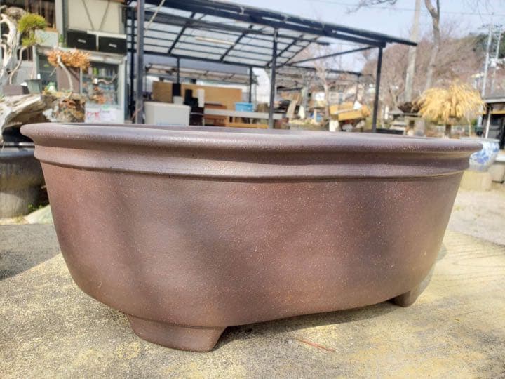 超珍品　メダカ鉢 中野行山手造り