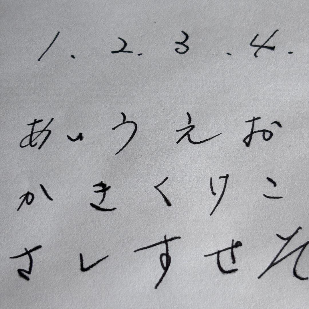 モンブランマイスターシュテュック146 ヴィンテージ80sインク付き