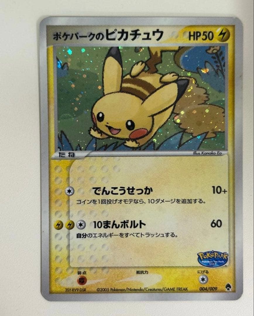R*様 ポケパークのピカチュウ （004/009）