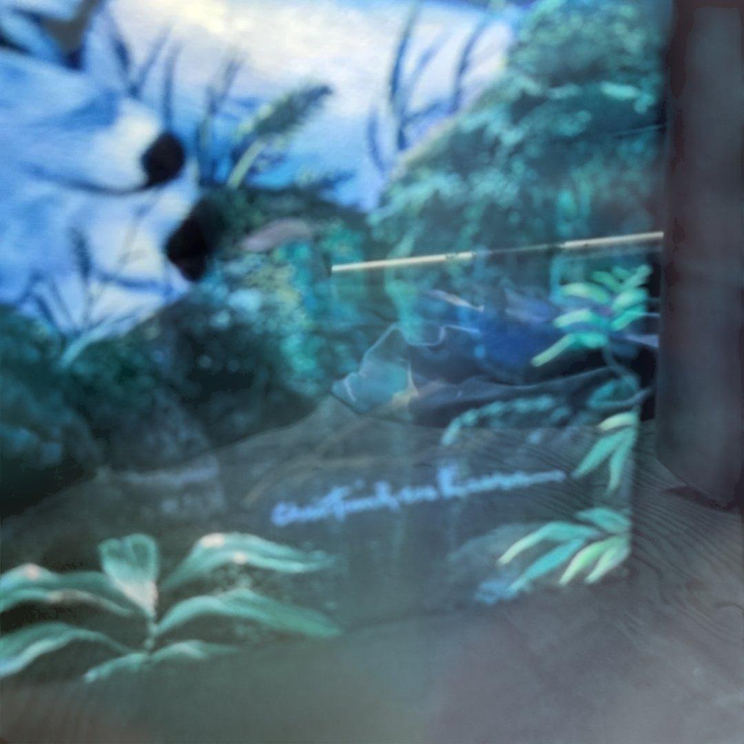 ラッセンの絵画 ロードオブ ザ ミレニアム