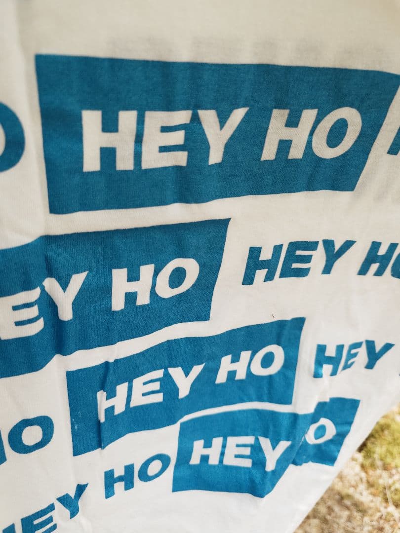 80s RAMONESラモーンズ Tシャツ XL USA製