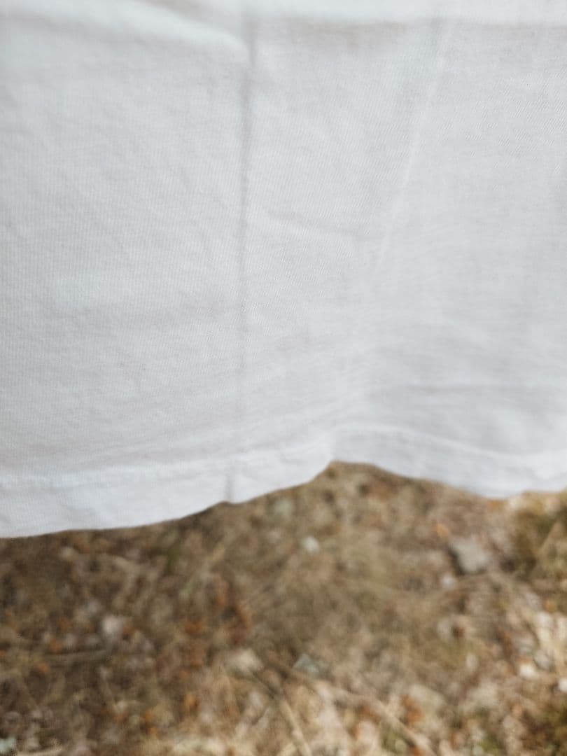 80s RAMONESラモーンズ Tシャツ XL USA製