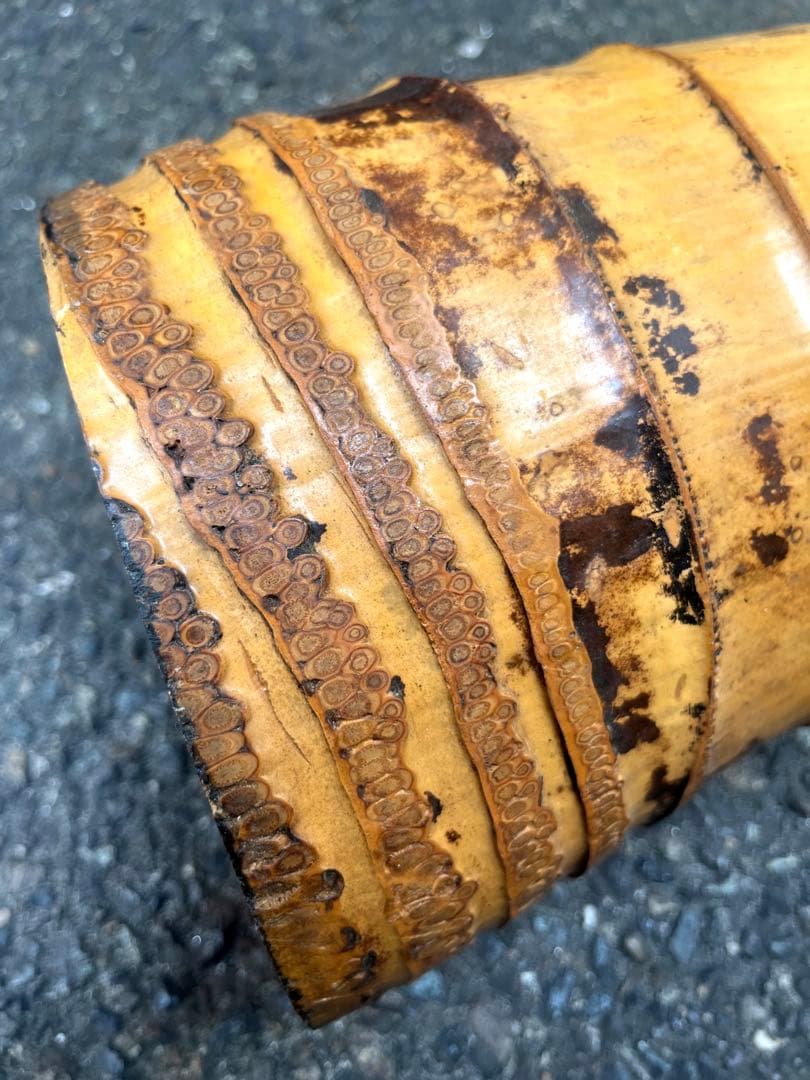 花台　木瘤 茶道具　華道　逸品 自然木 瘤付き 花器・銅根木 古美術アンティーク