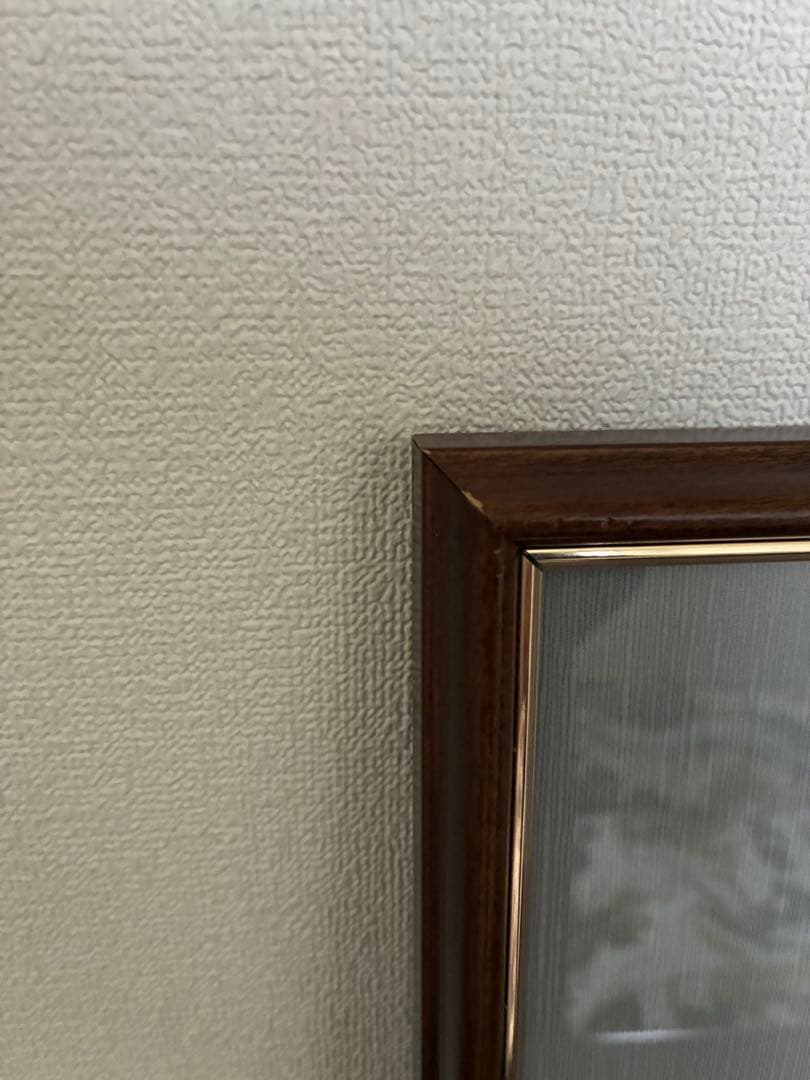 ワンピース　複製原画　ONE PIECE