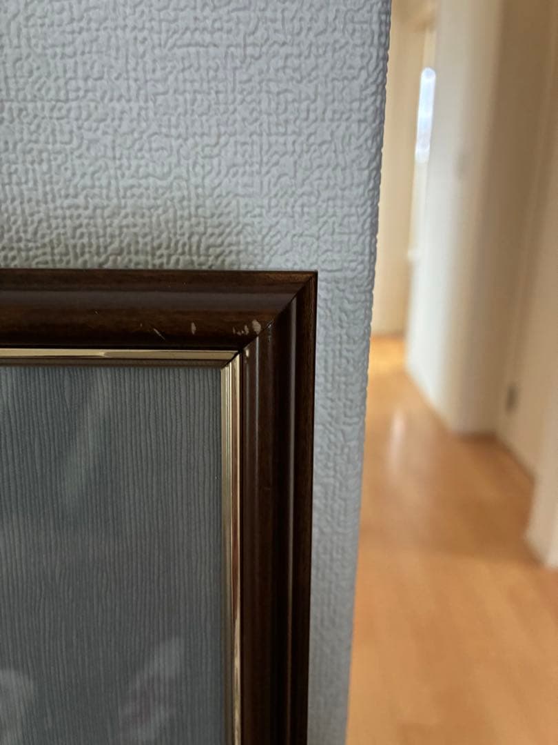 ワンピース　複製原画　ONE PIECE