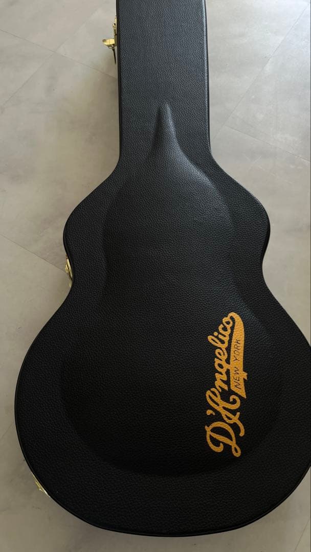 上位仕様　D’Angelico Excel Mini DC Duncan 59