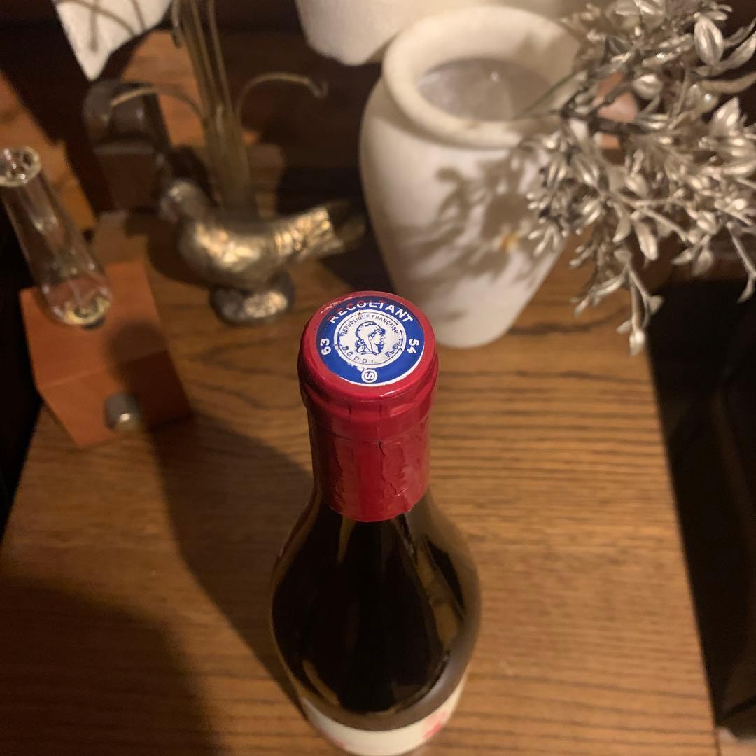 ヴァンサン トリコ トワ ボンノム マセラシオン カルボニック 赤 750ml