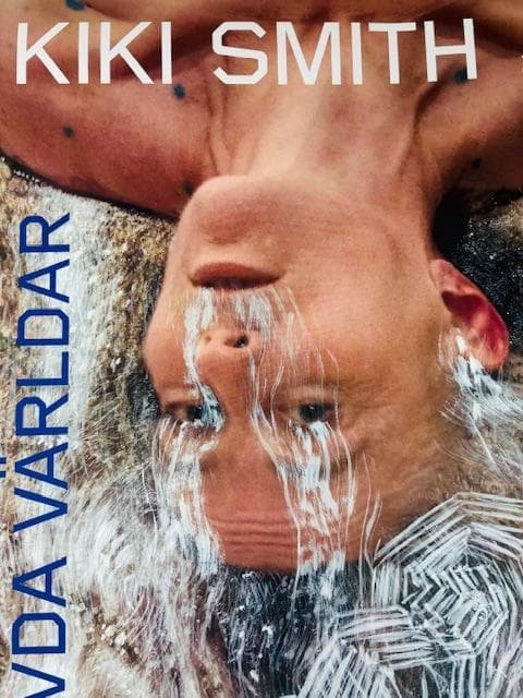 額装品/The Falls lll/キキ スミス/アート/ポスター/インテリア