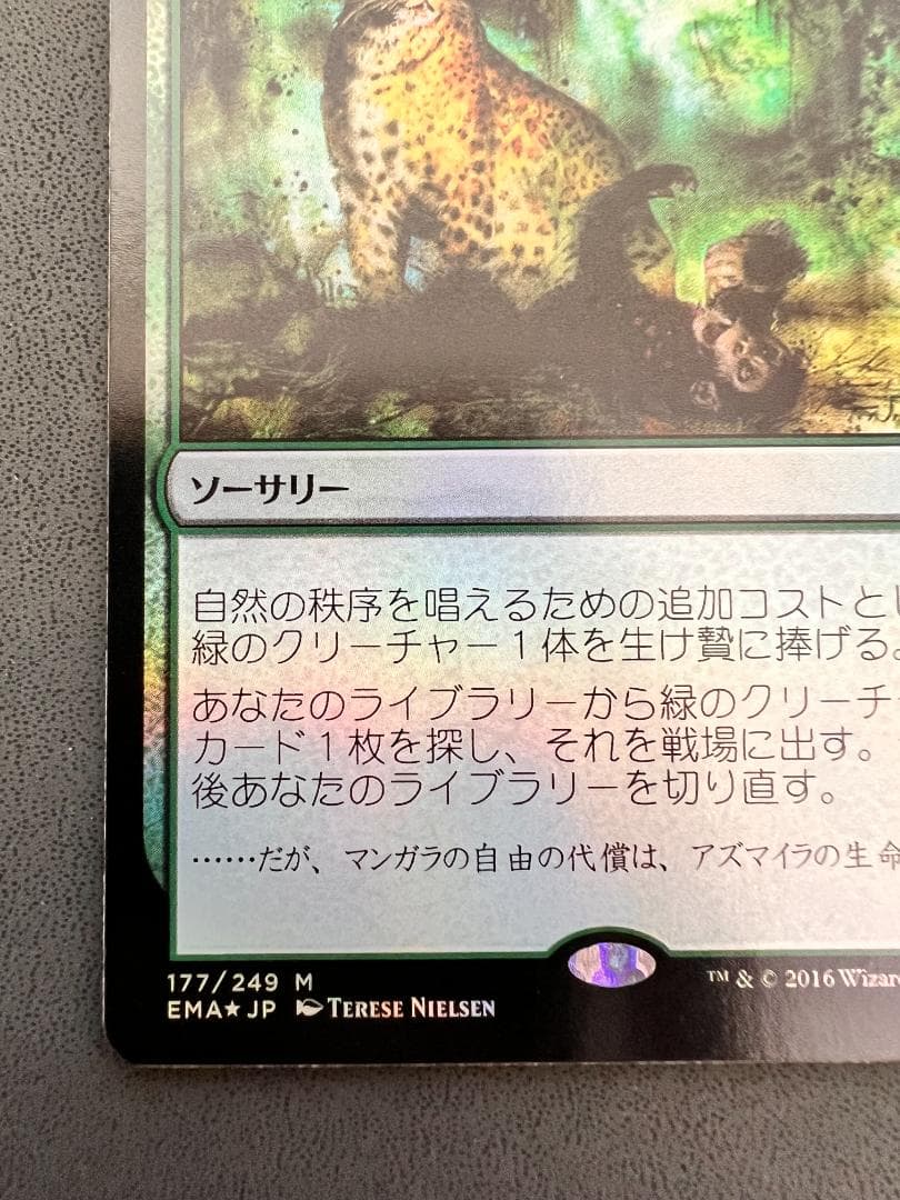 旧枠　foil「EMA」自然の秩序/Natural Order　日本語1枚