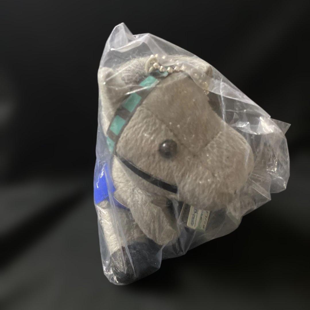 【競馬】メジロマックイーン（2019JRA函館競馬場）アイドルホースSサイズ