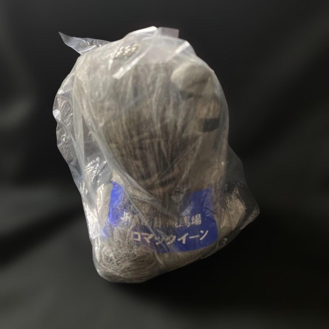 【競馬】メジロマックイーン（2019JRA函館競馬場）アイドルホースSサイズ